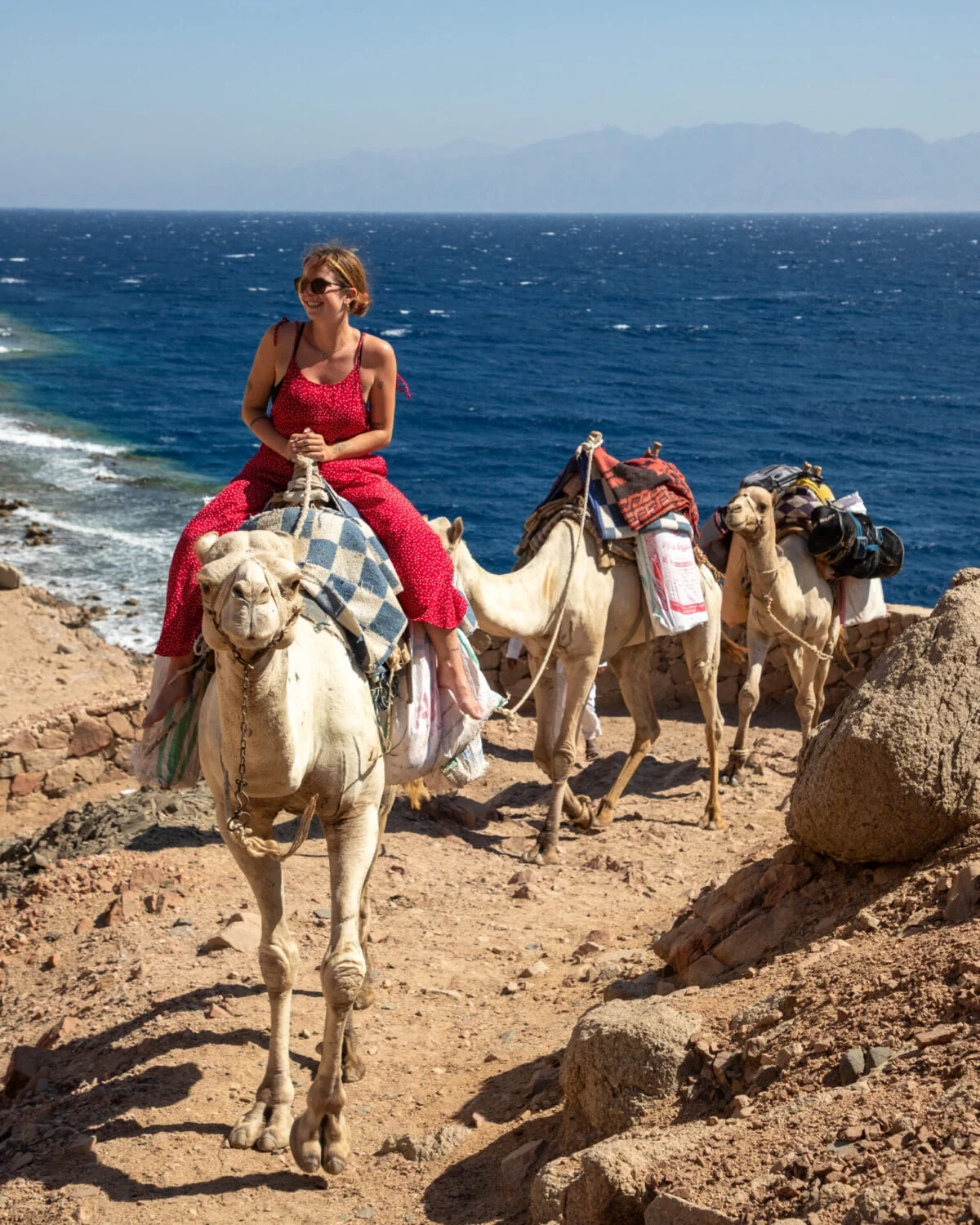Coastal trail reference with camels beside the sea
