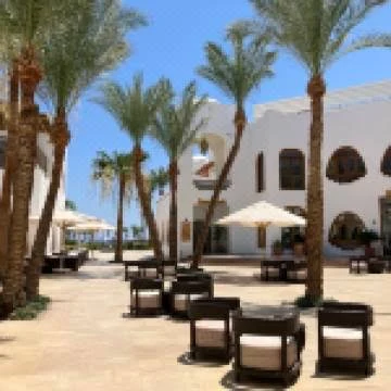 Palm courtyard reference